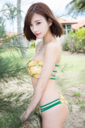 鸭王三